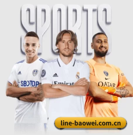 用内容积累长期价值 - 长期内容价值积累 - Baowei Sports